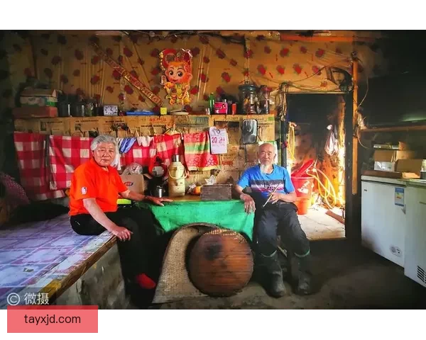 一家三口下乡插队岁月里的亲情坚守与乡村生活记忆变迁史诗画卷录